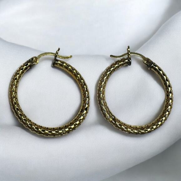 10K Gold Hoop Mesh Earrings in Yellow Gold